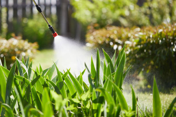 24/7 Emergency Cockroach Control experts in St. Leo, FL