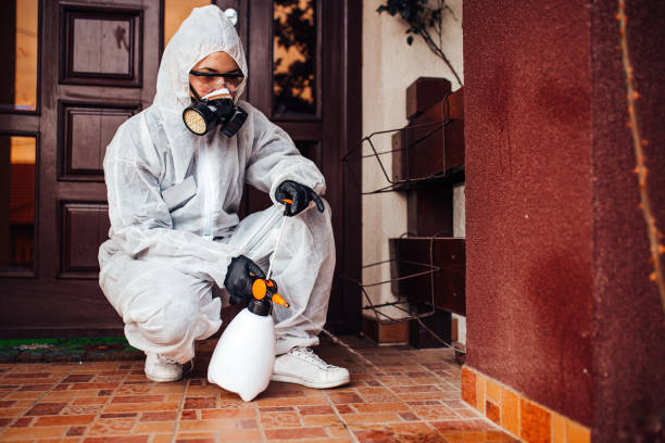 Reliable Cockroach Control contractor in St. Leo, FL by Nex Pest Control