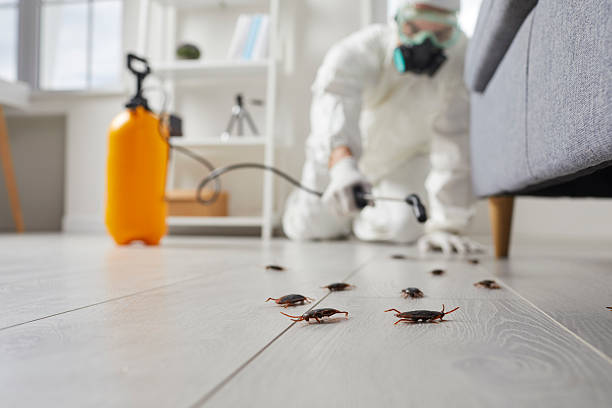 Affordable Cockroach Control solutions in St. Leo, FL